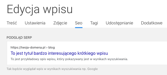 podgląd SERP ustawienia wpisu na blogu